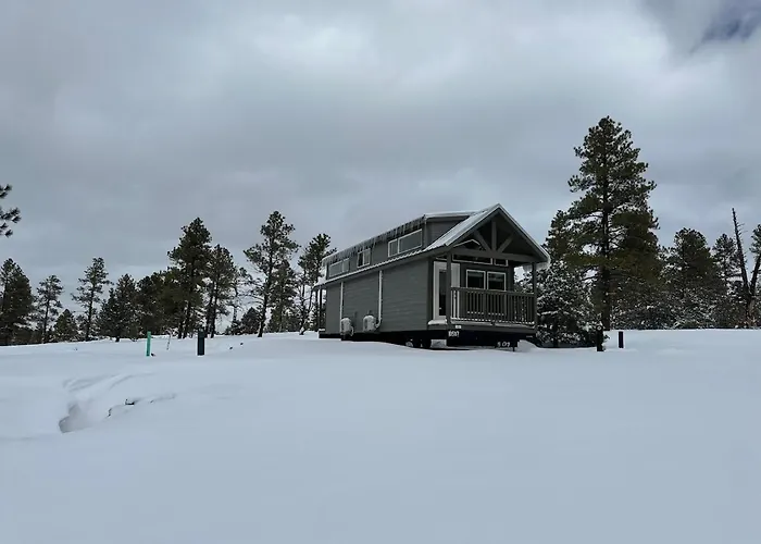 Cozy Cabin With Mountain View 3A